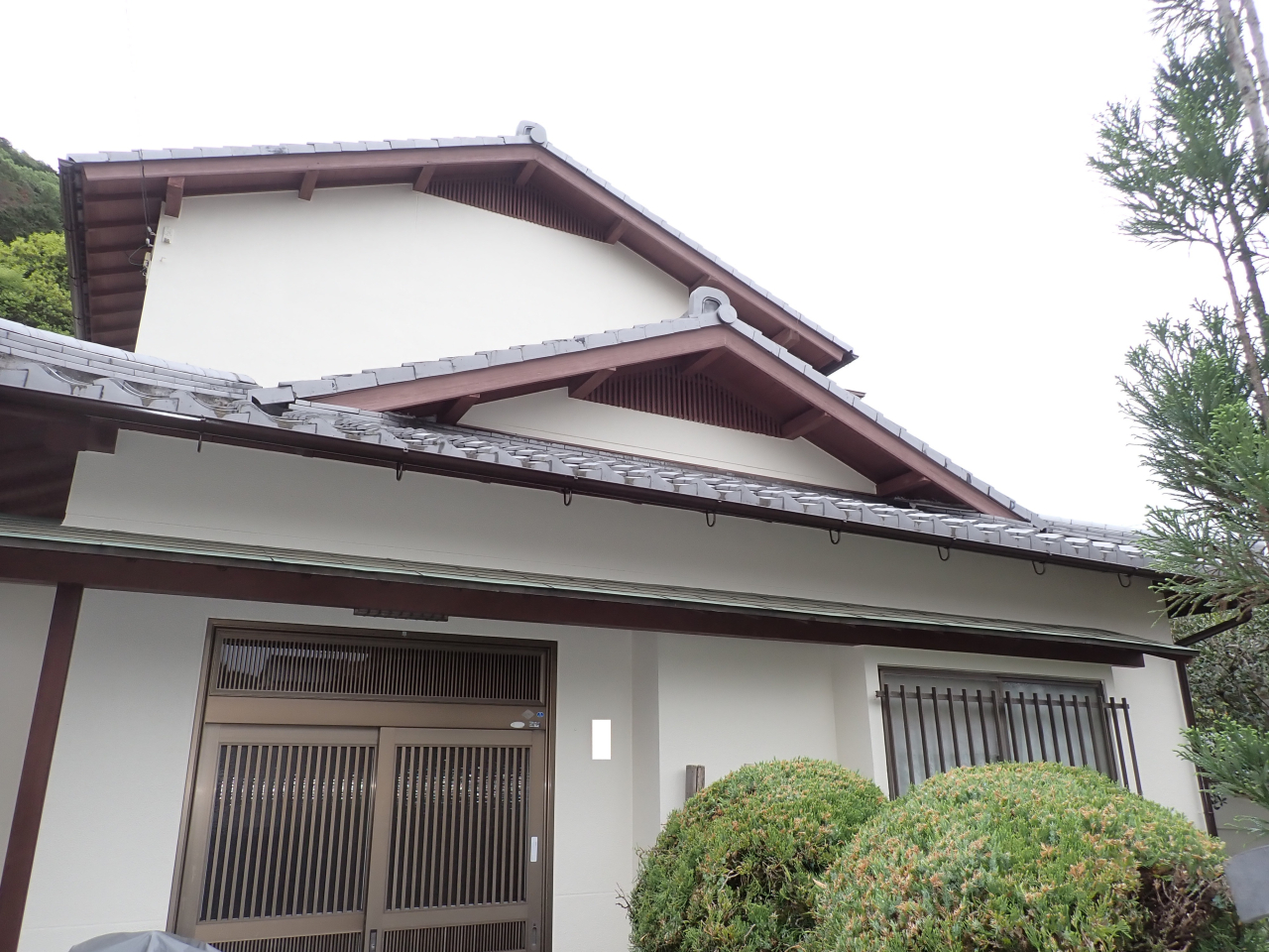 P4230693 調整済み
